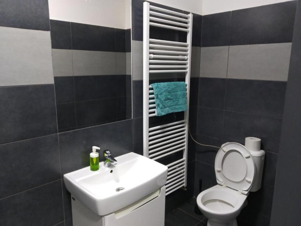 Apartments Near The Center With Privat Parking Brno Extérieur photo